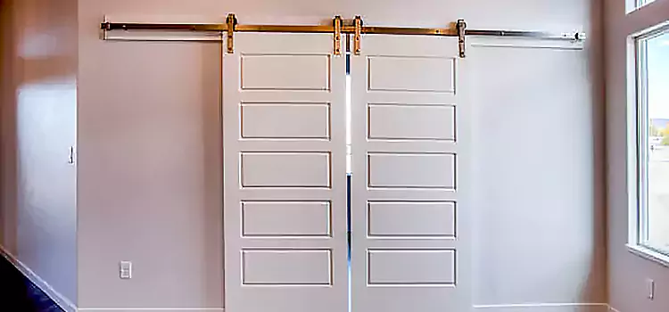 Glass Barn Door with Installation Hardware Kit New Albany